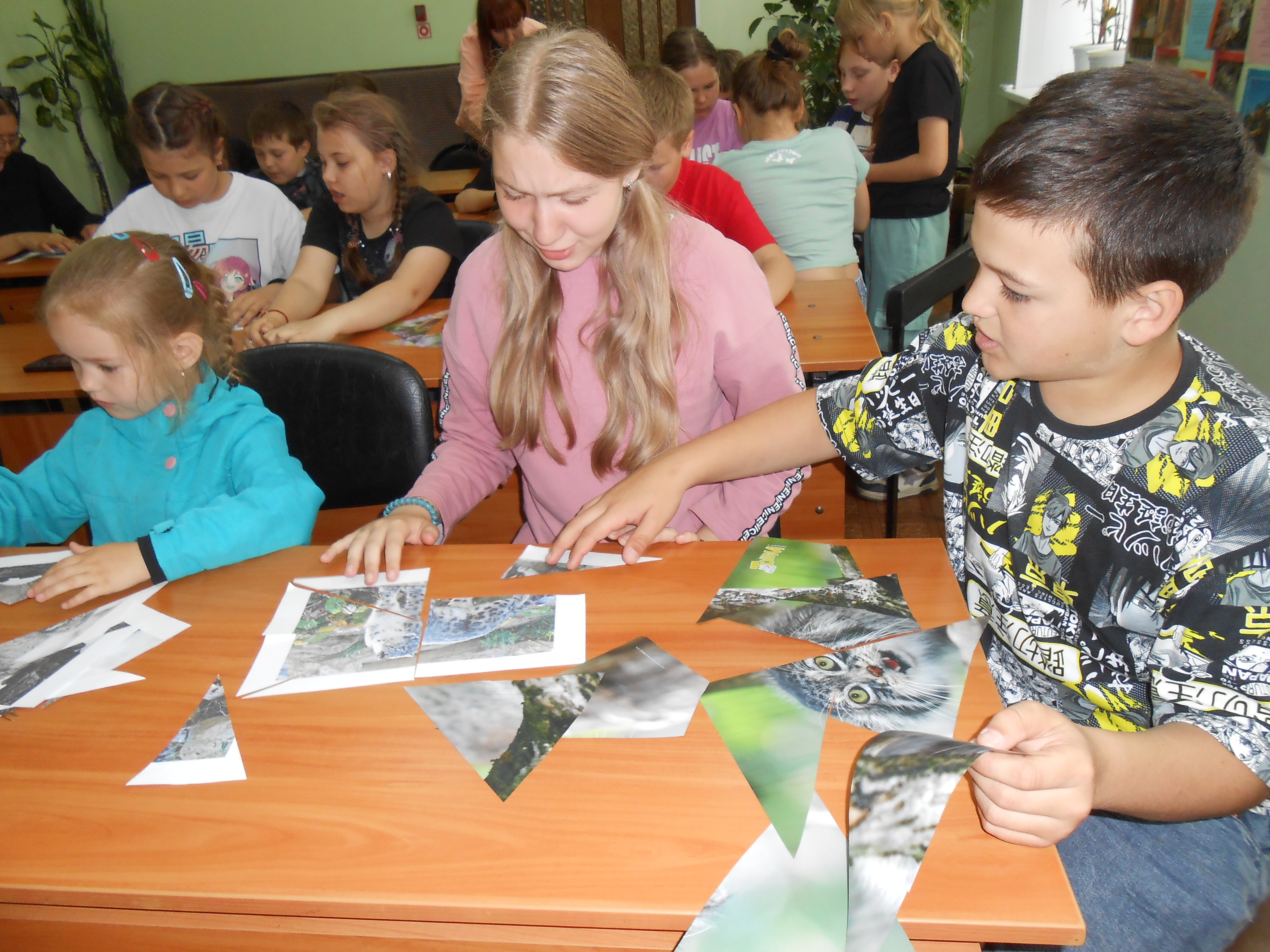 Разноцветная палитра живой природы | 20.06.2024 | Киселёвск - БезФормата